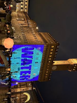 IMG 2384